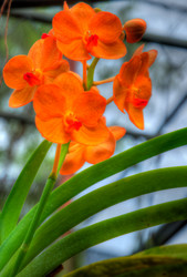 Similar image 2885190