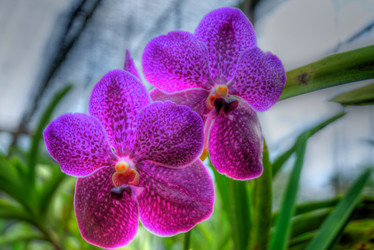 Similar image 2885191