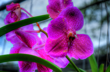 Similar image 2885193