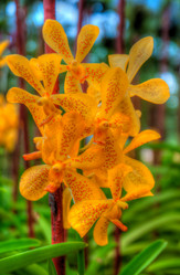 Similar image 2885194