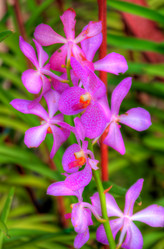 Similar image 2885196