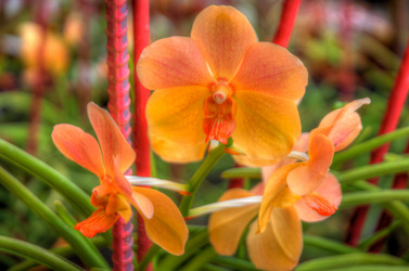 Similar image 2885197