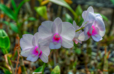 Similar image 2885218