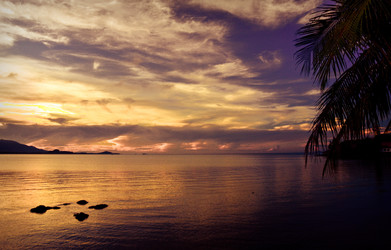 Similar image 2885222