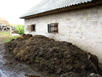 Similar image 2885262