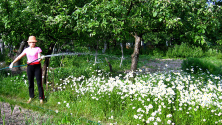 Similar image 2885266