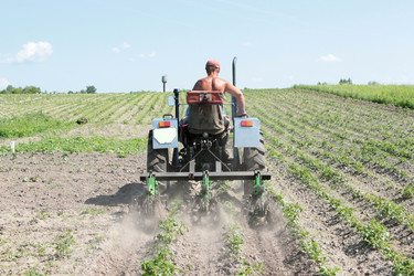 Similar image 2885280