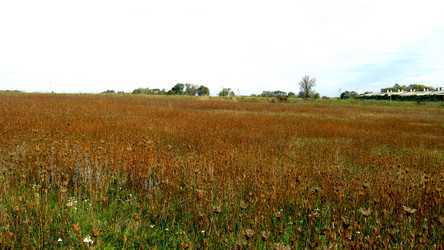 Similar image 2885284