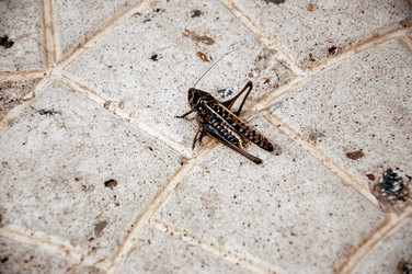 Similar image 2885299