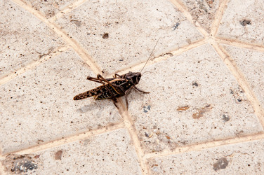 Similar image 2885301