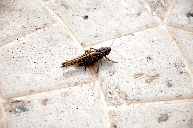 Similar image 2885302