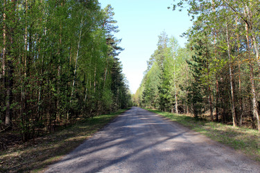 Similar image 2885312