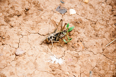 Similar image 2885318