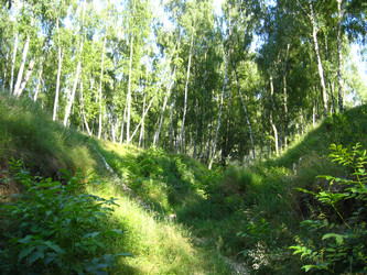 Similar image 2885317