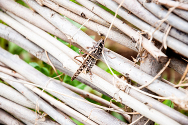 Similar image 2885322