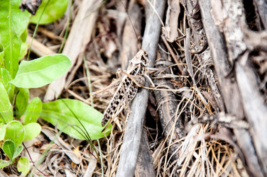 Similar image 2885326