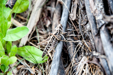 Similar image 2885329