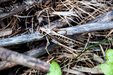 Similar image 2885331