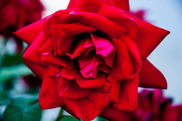 Similar image 2885340