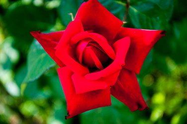 Similar image 2885347