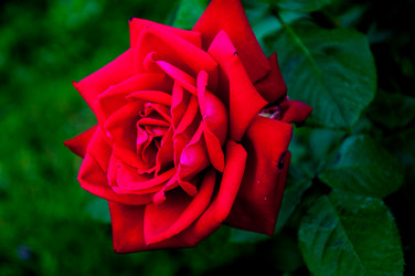 Similar image 2885348