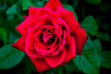 Similar image 2885349