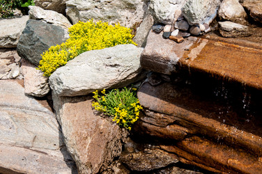 Similar image 2885353