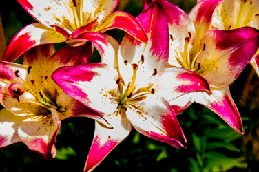 Similar image 2885373