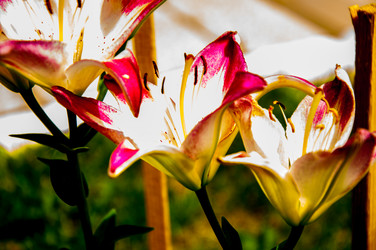 Similar image 2885374