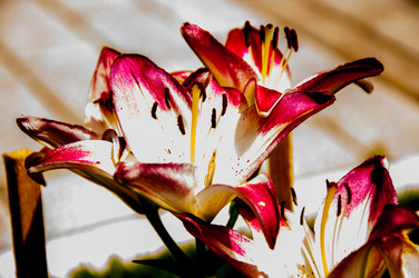 Similar image 2885375