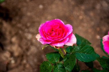 Similar image 2885499