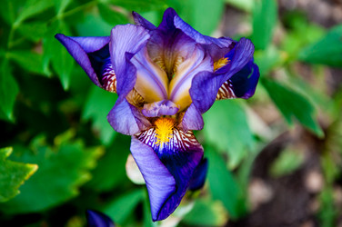 Similar image 2885502