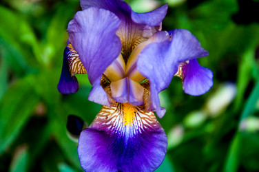 Similar image 2885503