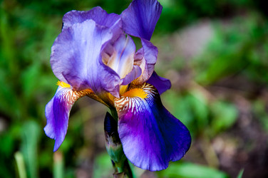 Similar image 2885504