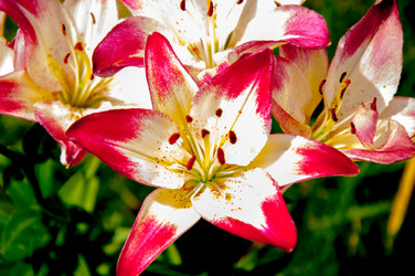 Similar image 2885506