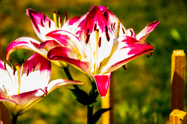 Similar image 2885507