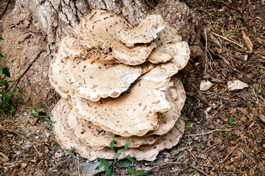 Similar image 2885511