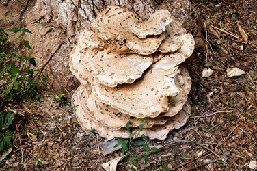 Similar image 2885512