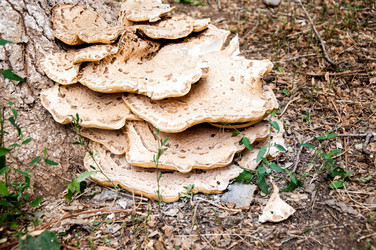 Similar image 2885513