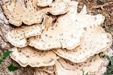 Similar image 2885514