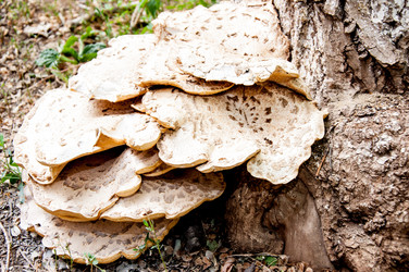 Similar image 2885515