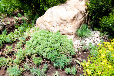 Similar image 2885516