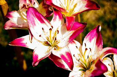 Similar image 2885518