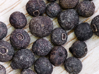 Similar image 2885769