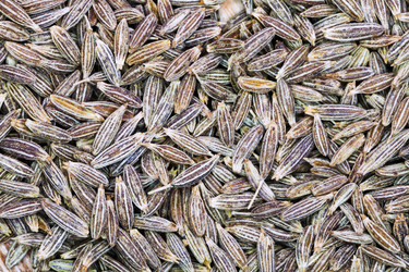 Similar image 2885776