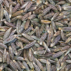 Similar image 2885779