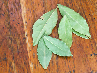 Similar image 2885824