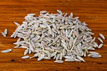 Similar image 2885831