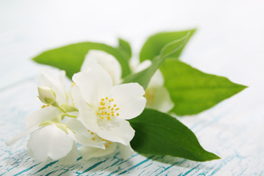 Similar image 2885844