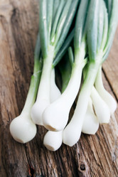 Similar image 2885855